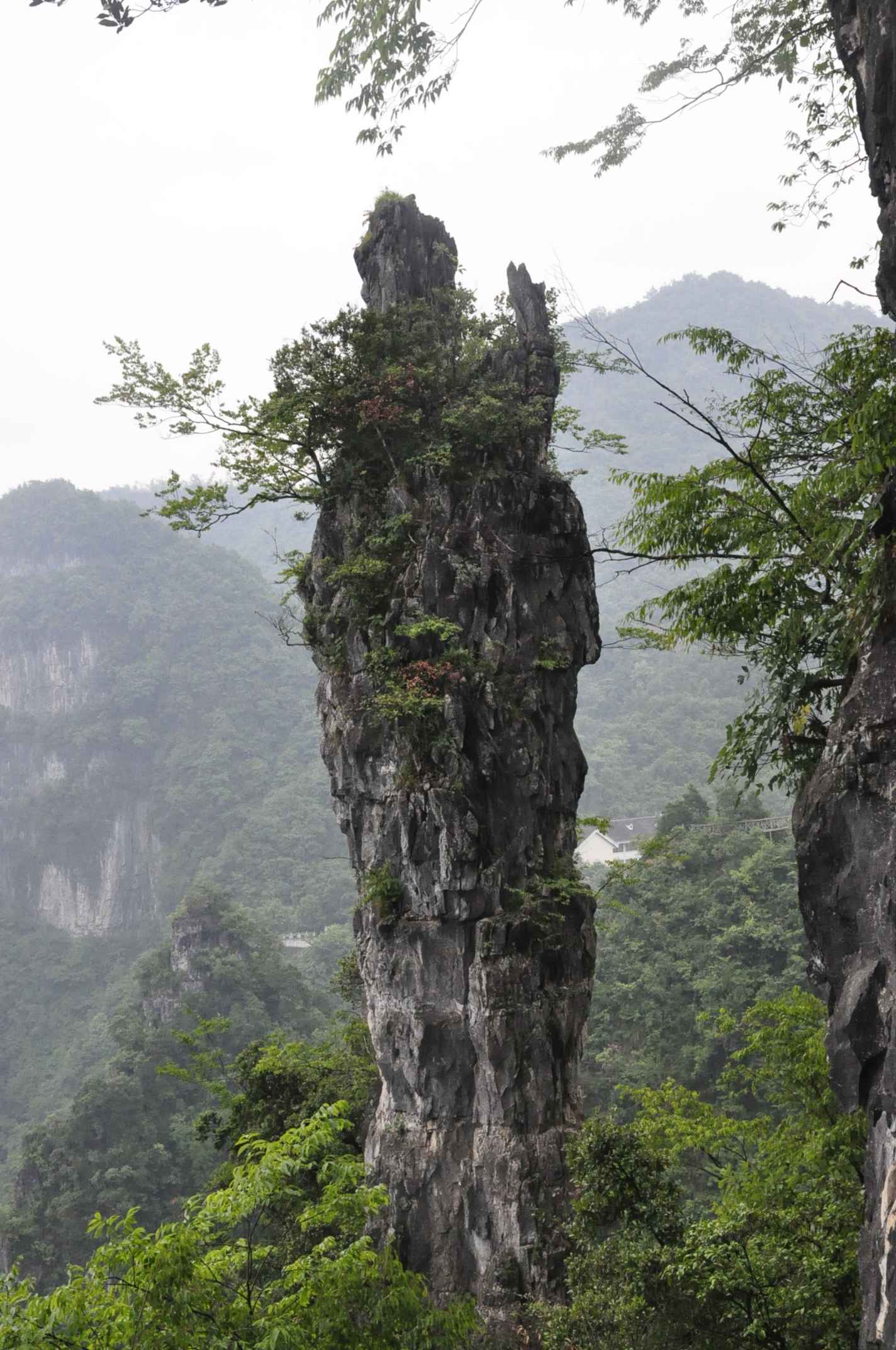 20116.4-6彭 085.jpg