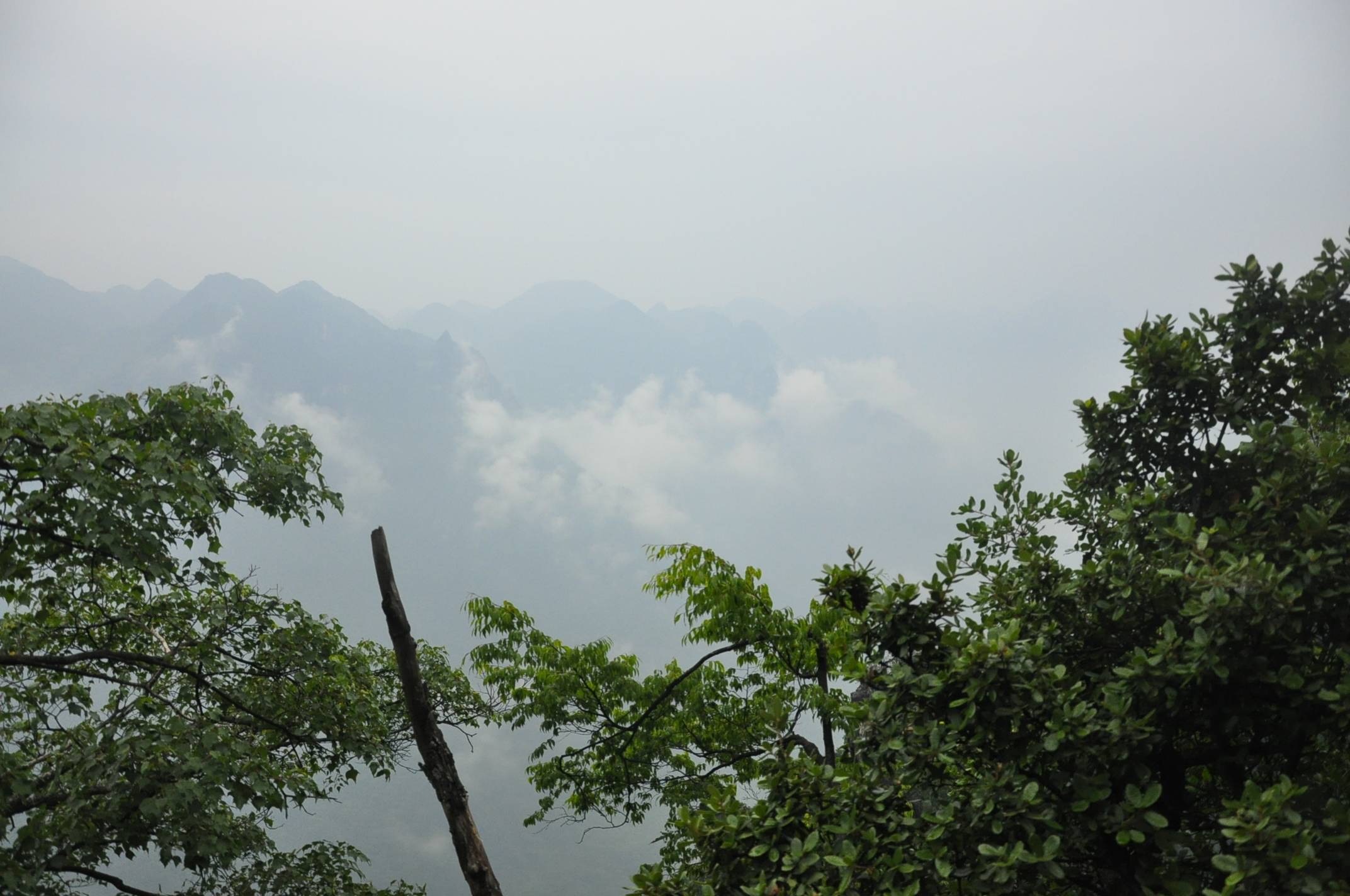 20116.4-6彭 051.jpg