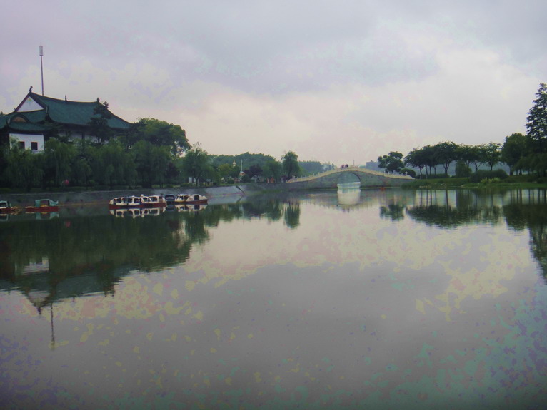 dsc00966.jpg
