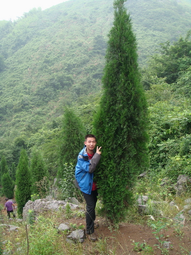dsc08929.jpg