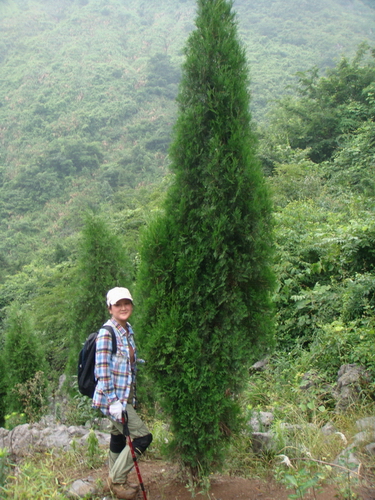 dsc08930.jpg