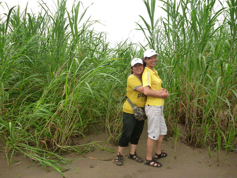 p1060968_.jpg