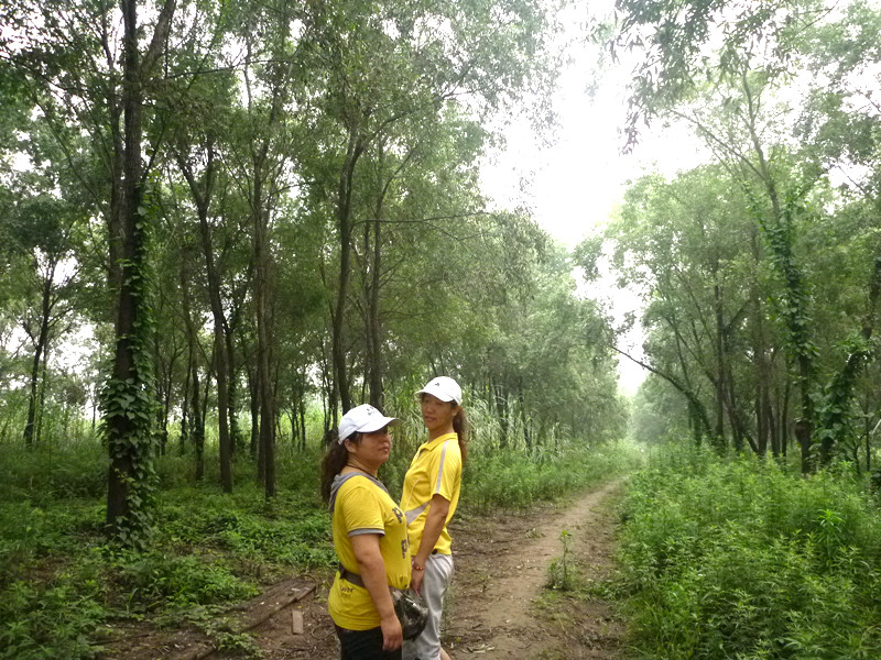 p1060979_.jpg