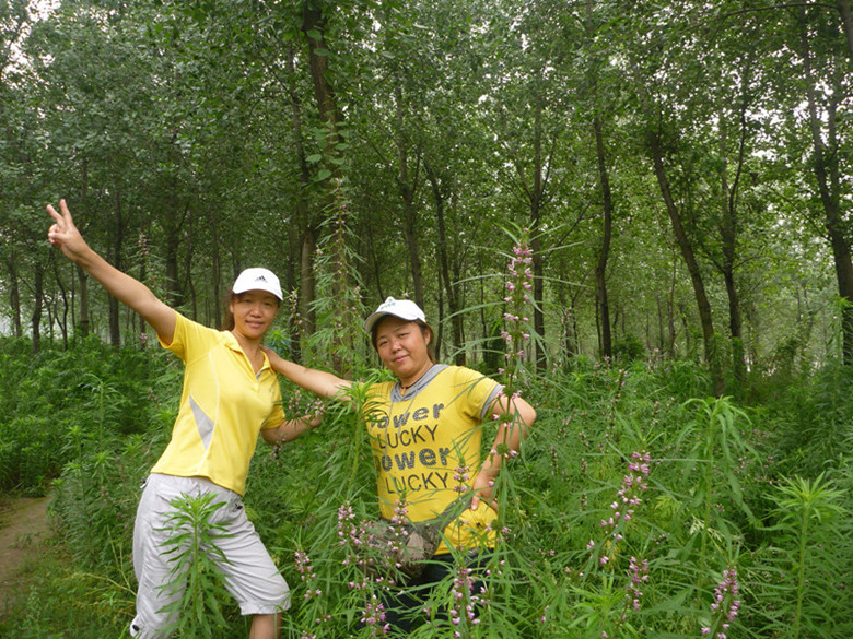 p1060980__.jpg