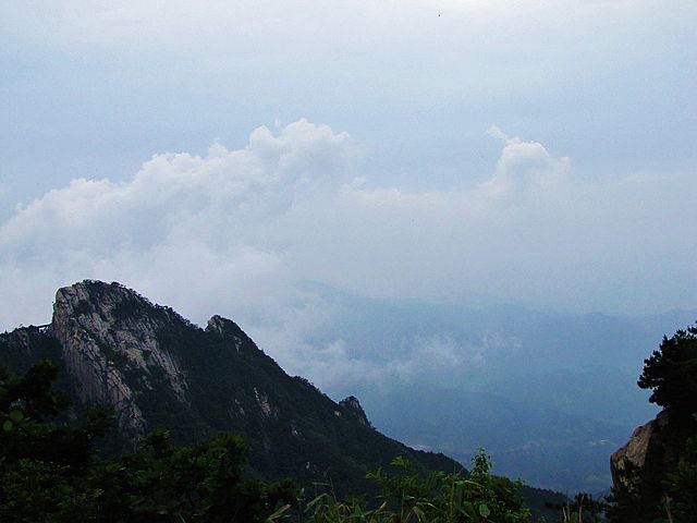 img_0902.jpg