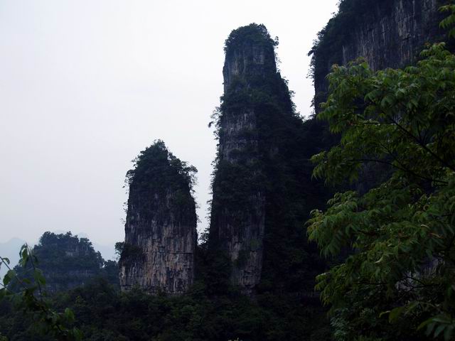 С p6049009.jpg