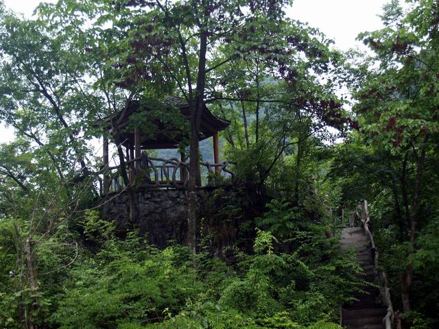 С p6049025.jpg