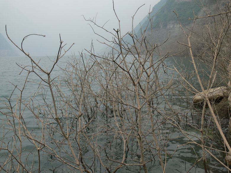 p1150610.jpg