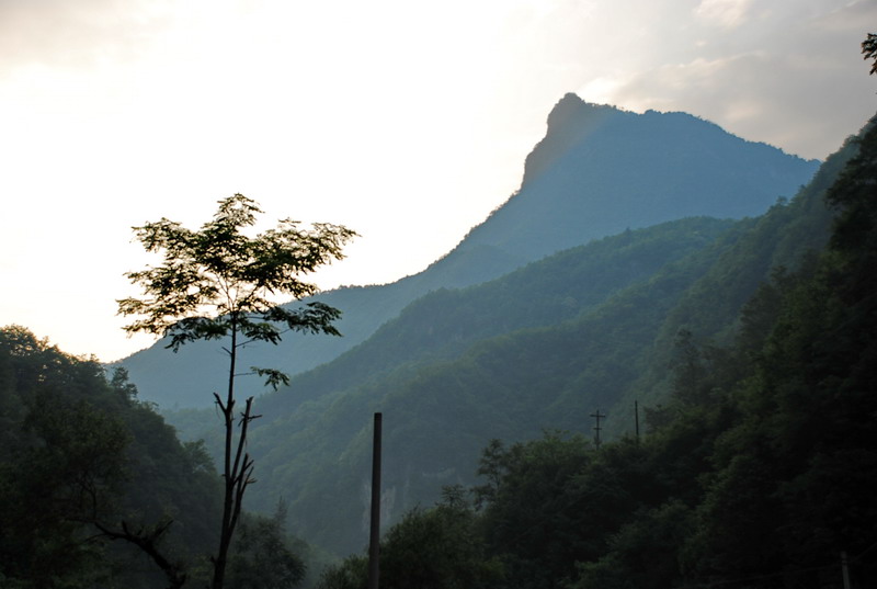 dsc_0097.jpg