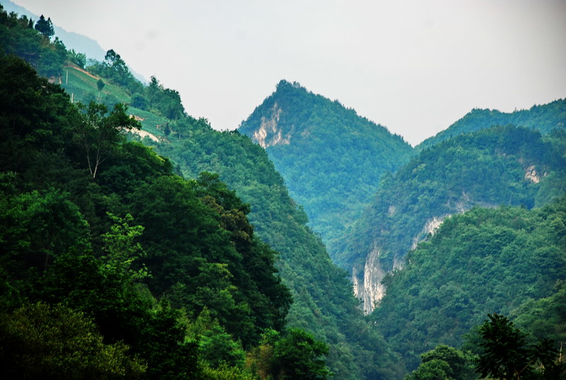 dsc_0100.jpg