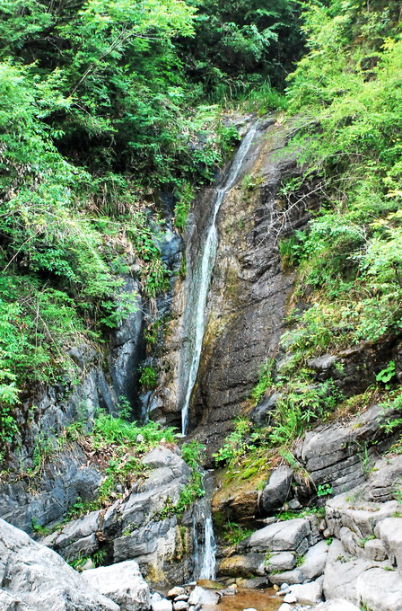 dsc_0111.jpg