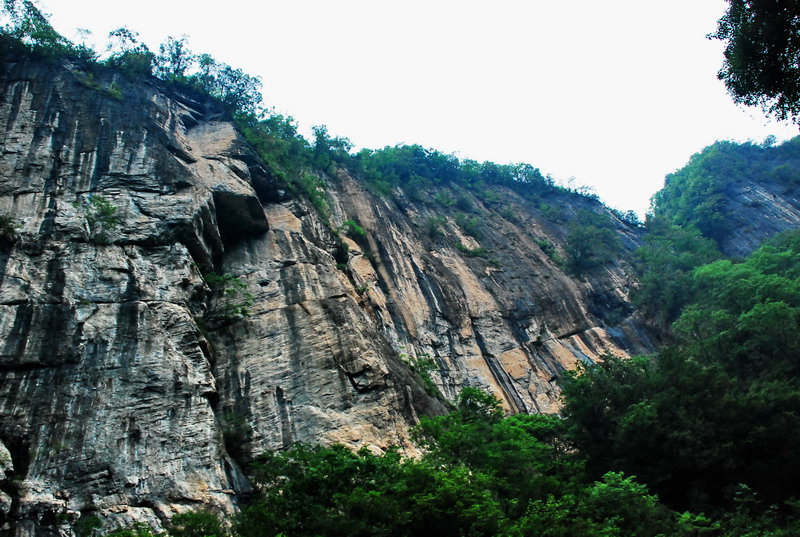 dsc_0131.jpg