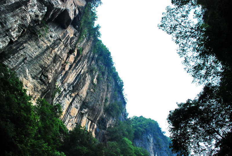 dsc_0132.jpg