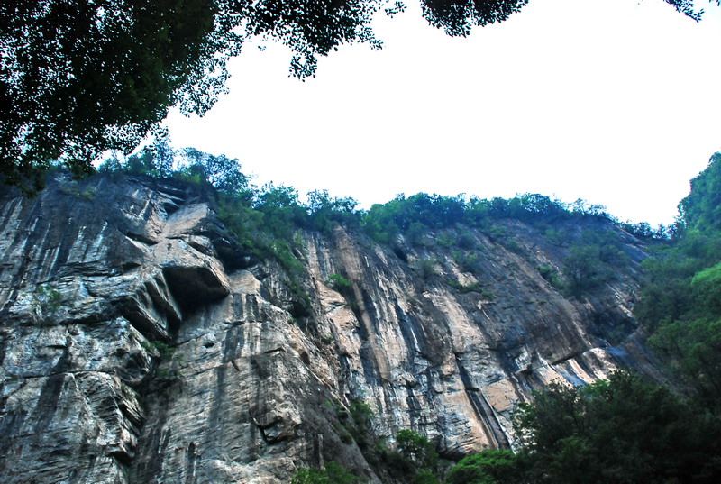 dsc_0134.jpg