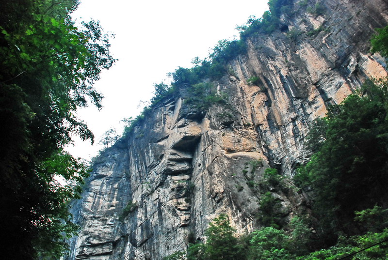 dsc_0139.jpg
