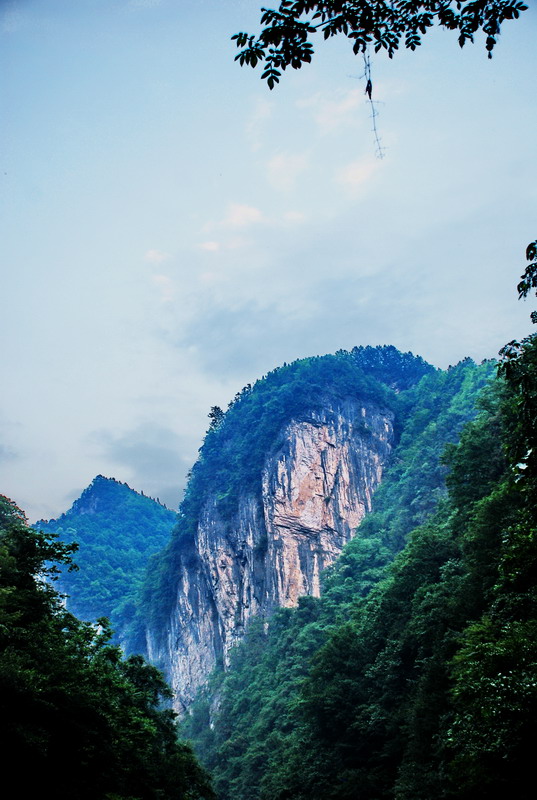 dsc_0140.jpg