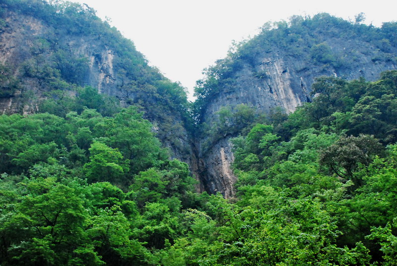 dsc_0146.jpg