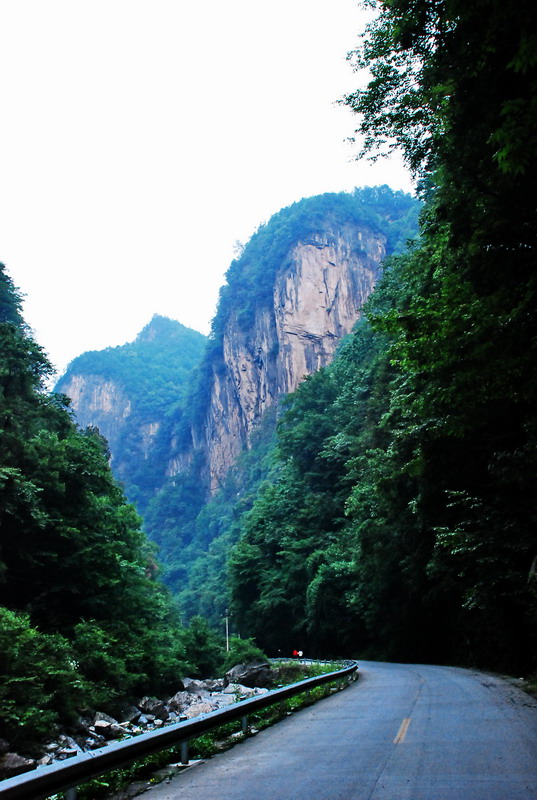 dsc_0147.jpg