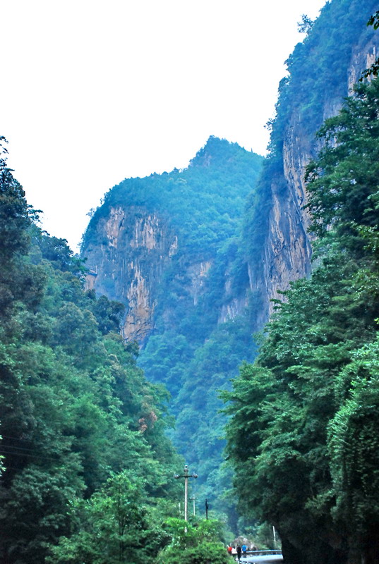 dsc_0152.jpg