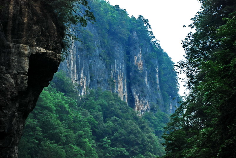 dsc_0123.jpg