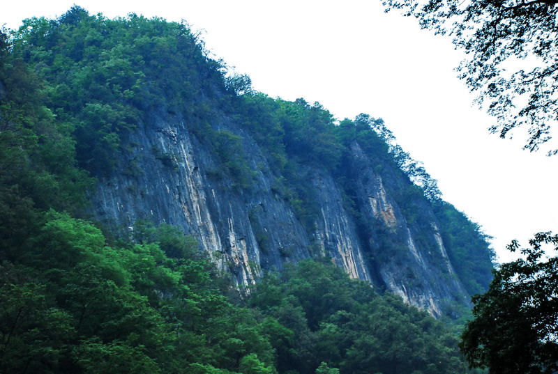 dsc_0129.jpg