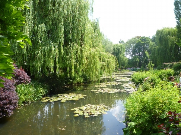 p_large_ibbl_76ef000076032d12.jpg