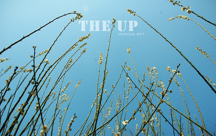 the_up_08.jpg