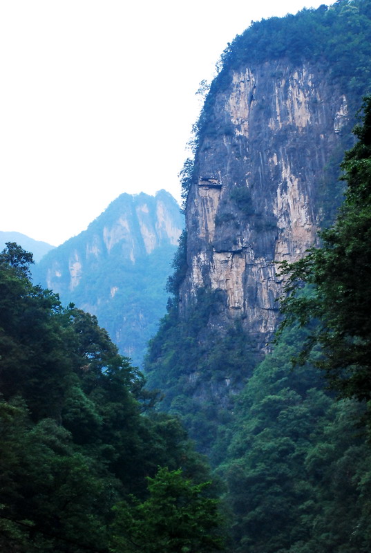 dsc_0160.jpg