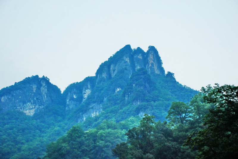 dsc_0166.jpg