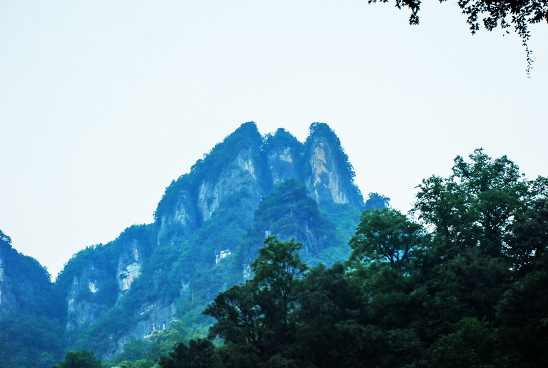 dsc_0168.jpg