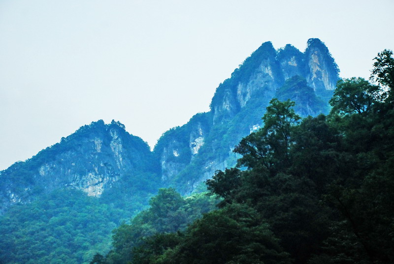 dsc_0169.jpg