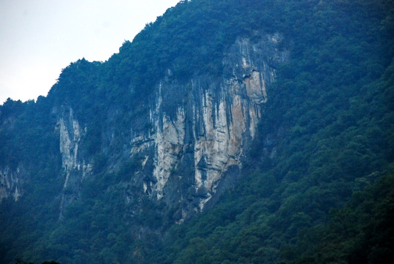 dsc_0172.jpg