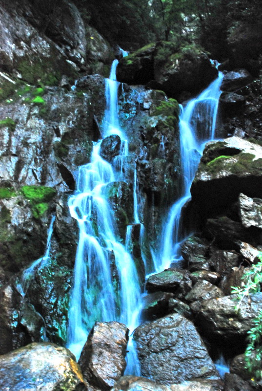dsc_0175.jpg