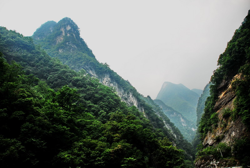 dsc_0180.jpg