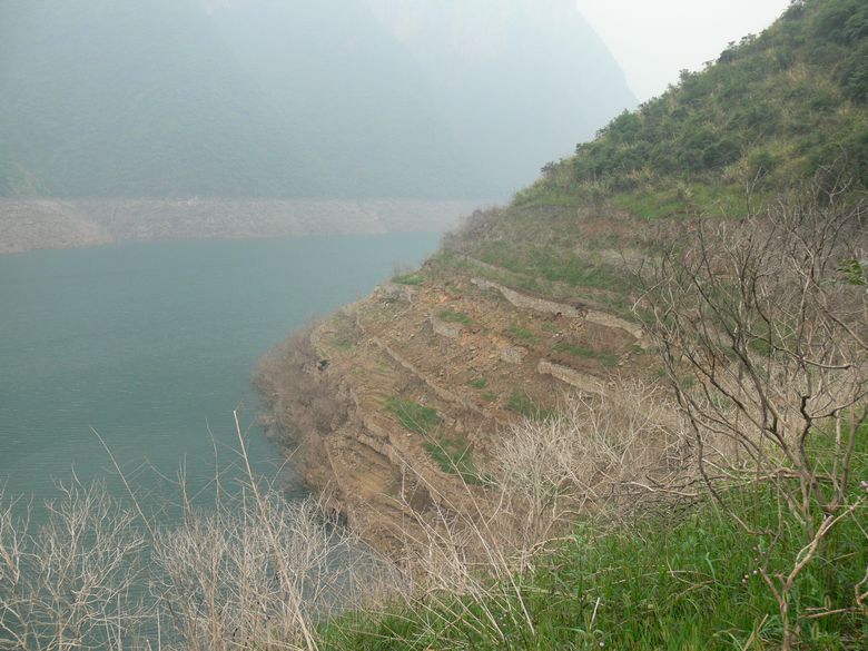 p1150618.jpg