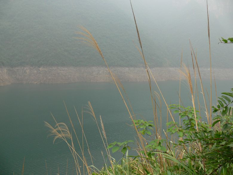 p1150620.jpg