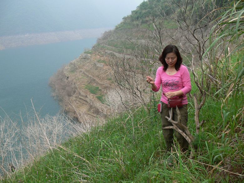 p1150630.jpg