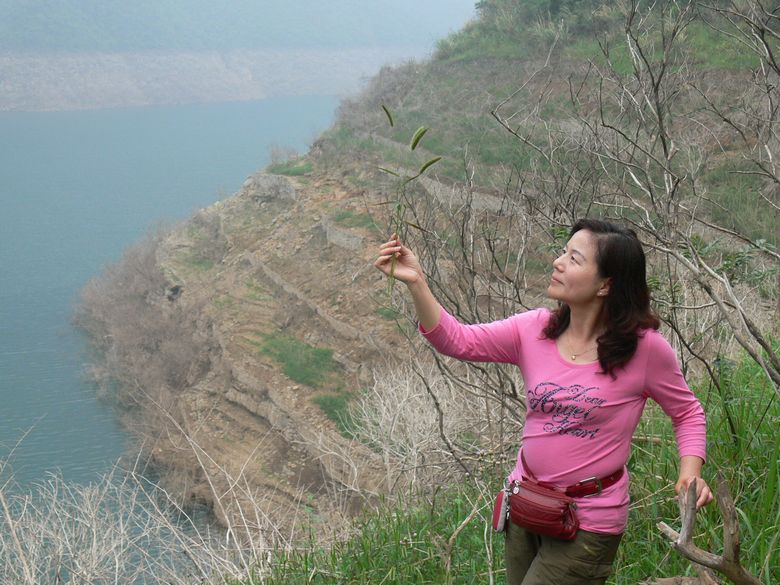 p1150633.jpg