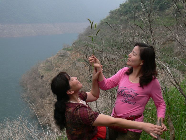 p1150634.jpg
