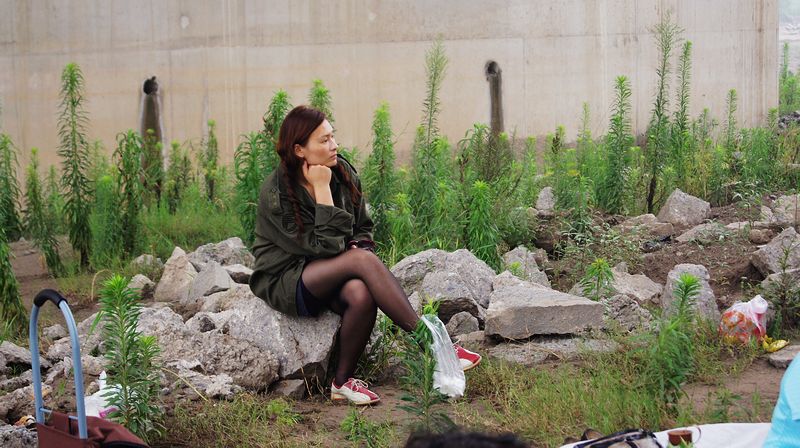 neo_img_dsc00156.jpg