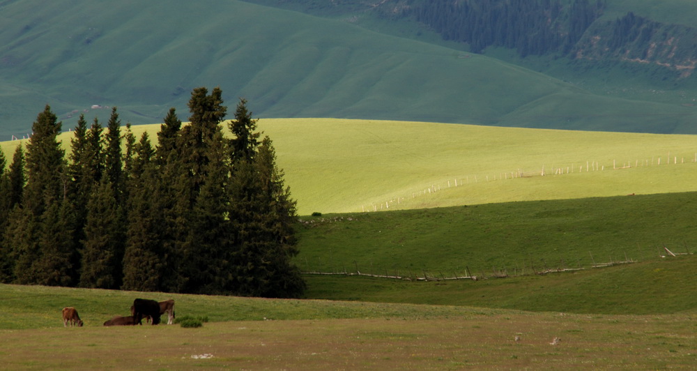 dsc_0919-1-1.jpg