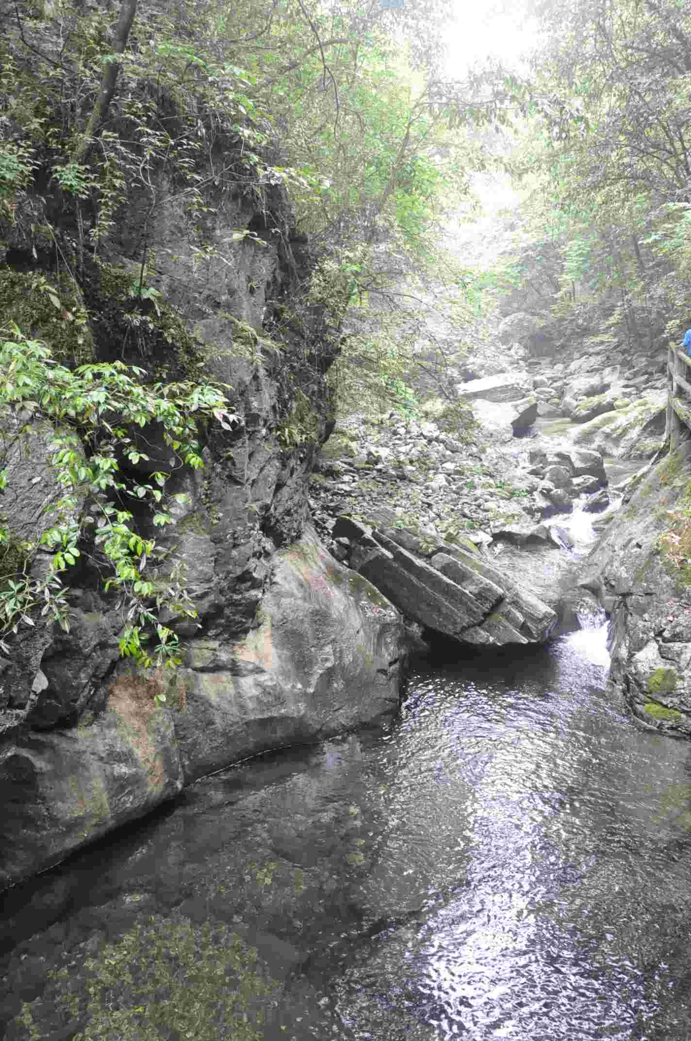 20116.4-6彭 239.jpg