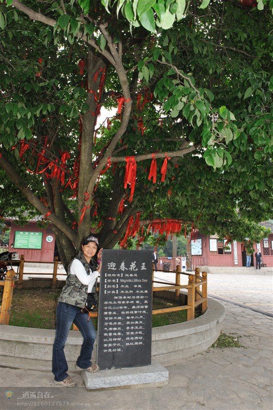 06.jpg
