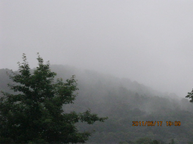 img_3451.jpg