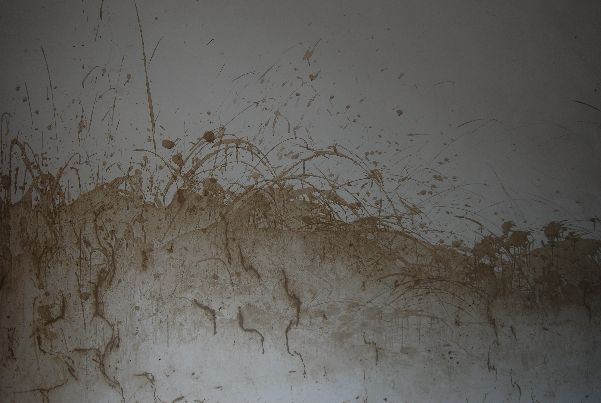 dsc_0623.jpg