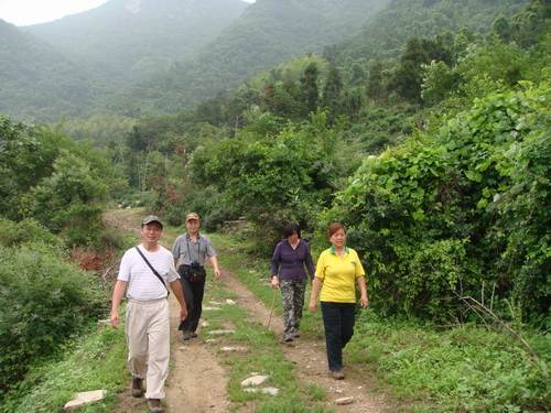 dsc08988.jpg