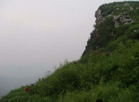 dsc08925.jpg