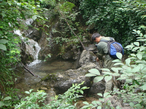 dsc08916.jpg