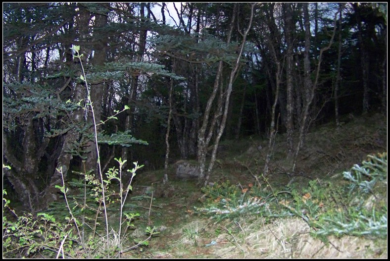 100_5389.jpg