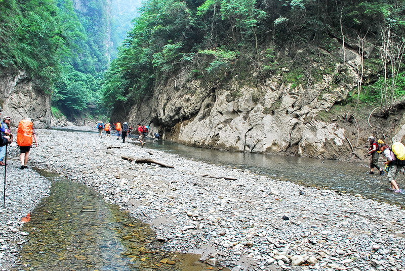 dsc_0331.jpg